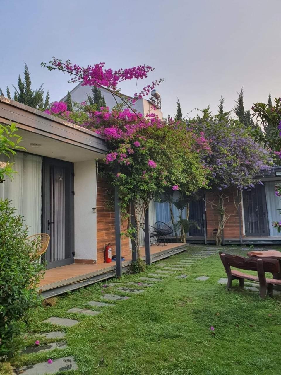 Perfect Homestay ดาลัด ภายนอก รูปภาพ